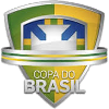 Fútbol - Copa de Brasil - Palmarés
