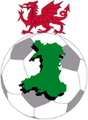 Fútbol - Primera División de Gales - Premier League - 2007/2008 - Inicio