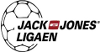 Balonmano - Liga de Balonmano de Dinamarca Masculino - Liga de Descenso  - 2023/2024 - Resultados detallados