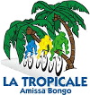 Ciclismo - La Tropicale Amissa Bongo - 2011 - Resultados detallados