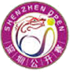 Tenis - WTA Tour - Shenzhen - Estadísticas